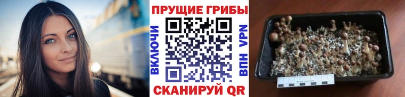 Галлюциногенные грибы Magic Shrooms  ОМГ ОМГ ССЫЛКА  Коммунар 